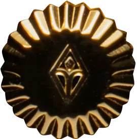Crown of watch