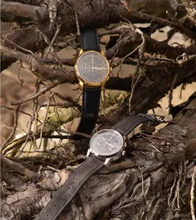 Two watches